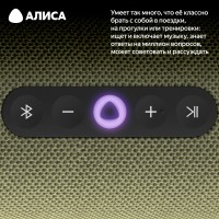 Умная портативная колонка Яндекс Станция Стрит (YNDX-00030GRN)