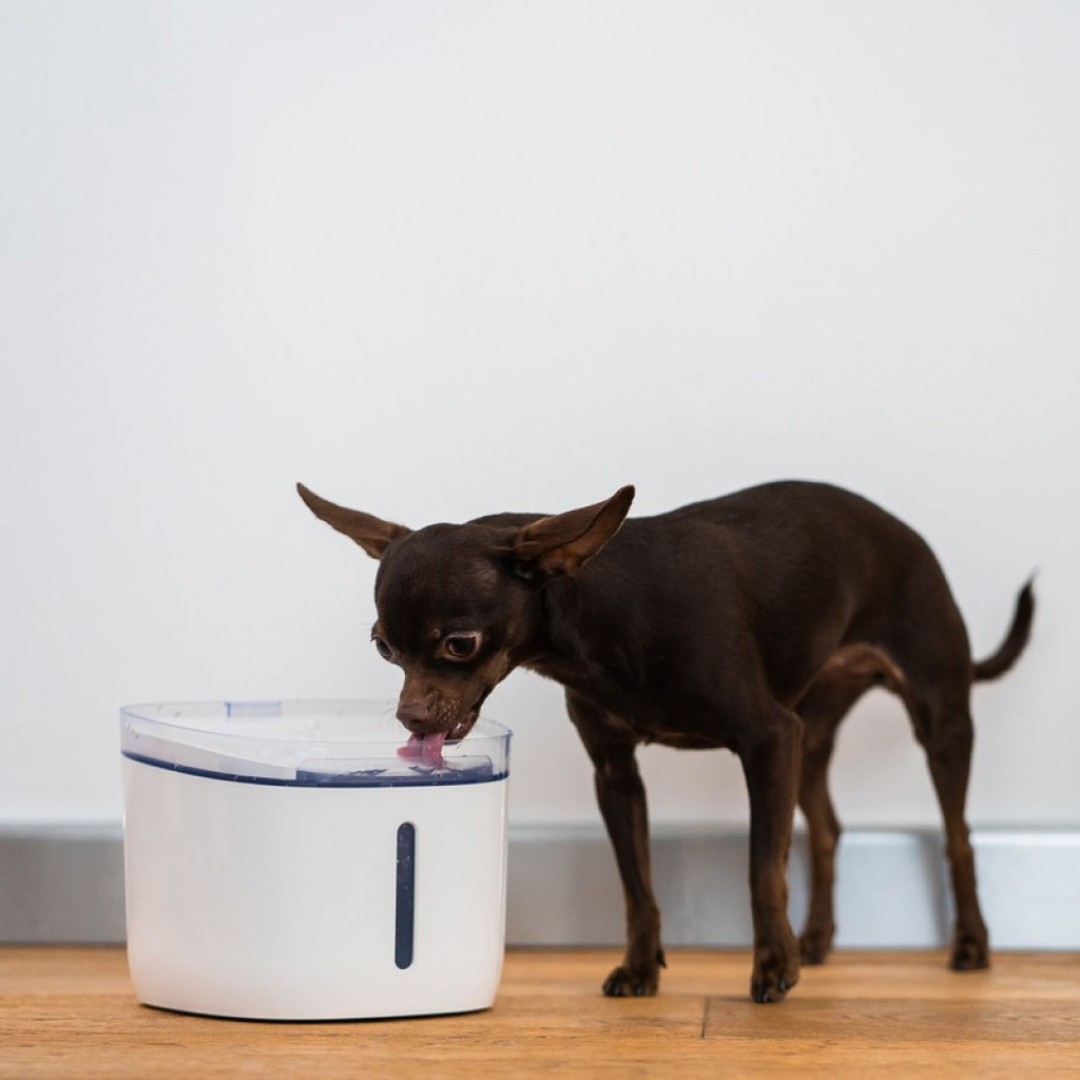 Поилка для животных Xiaomi Petoneer Smart Fresco Mini Plus Fountain (WF004)