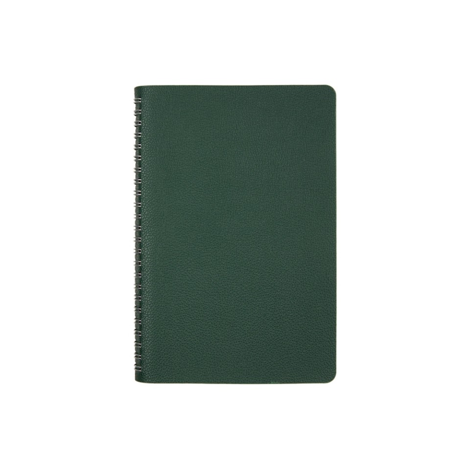 Ежедневник недатированный А5 "Alba", зеленый