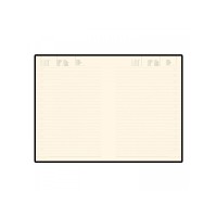 Ежедневник недатированный B5 «Tintoretto New», бордовый