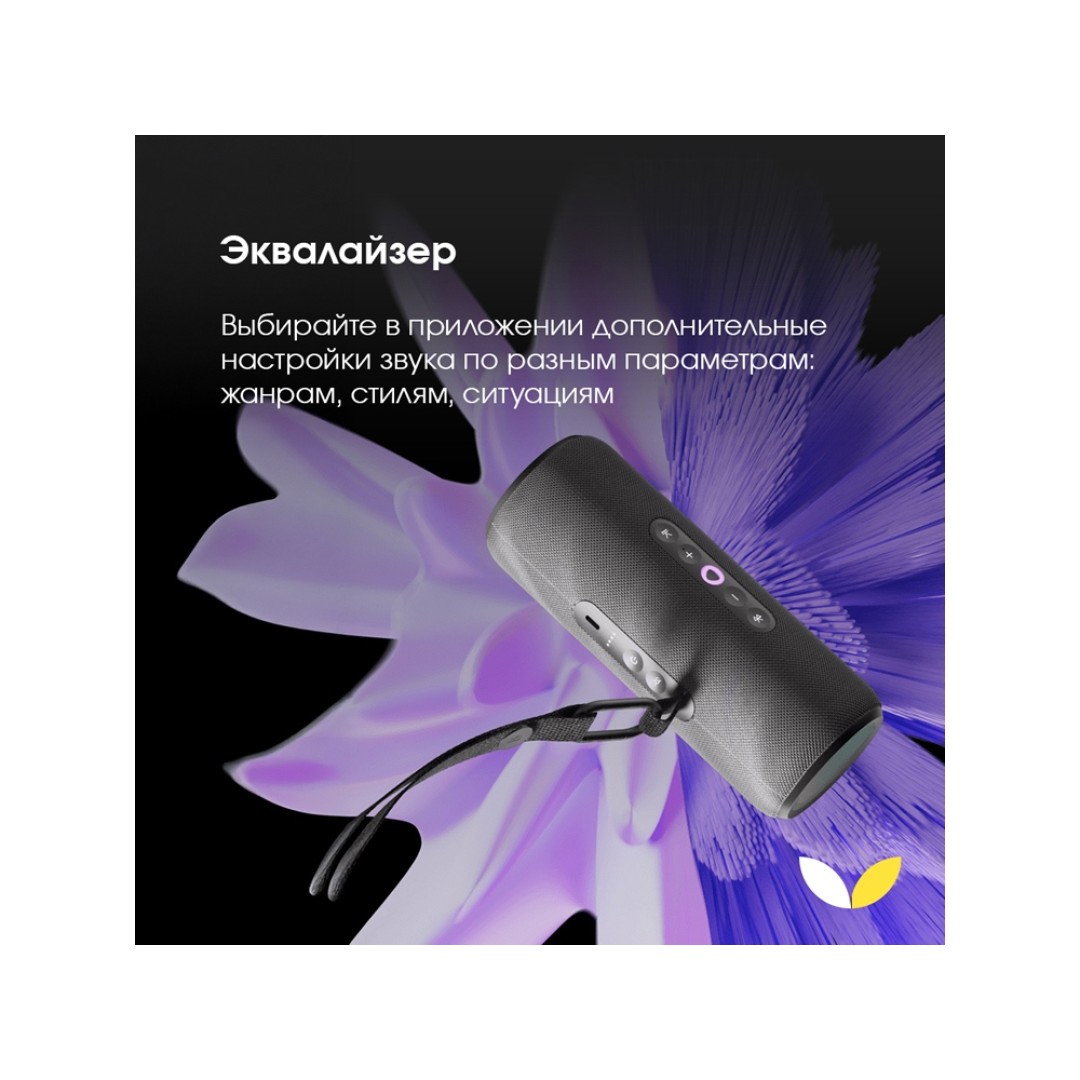 Умная портативная колонка Яндекс Станция Стрит с Алисой, черный (YNDX-00030BLK)