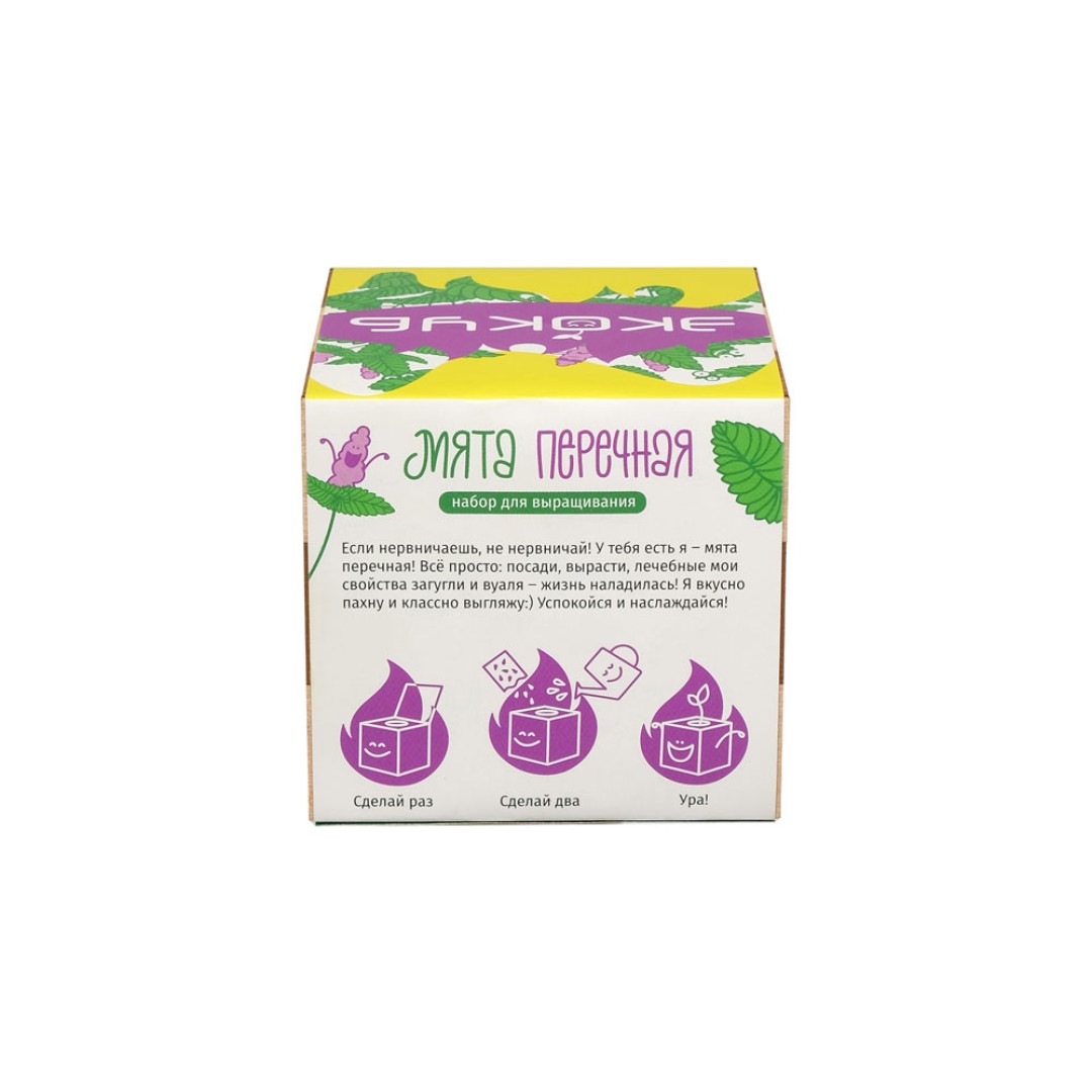Набор для выращивания "Экокуб Magicme "Мята"