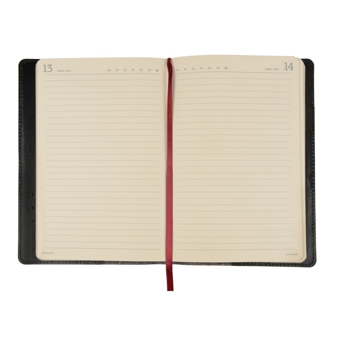 Ежедневник полудатированный портфолио А5  "PROFY" черный