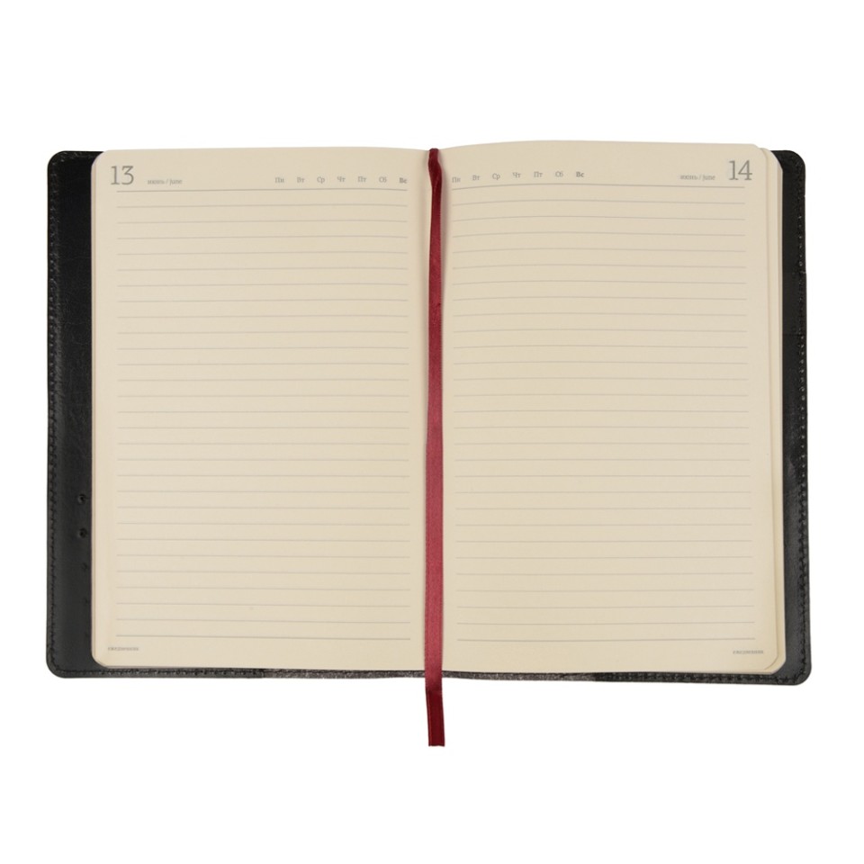 Ежедневник полудатированный портфолио А5  "PROFY" черный