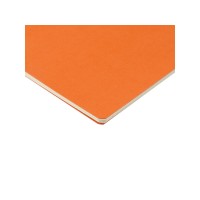 Бизнес тетрадь А5 "Pragmatic", 40 листов в клетку, оранжевый