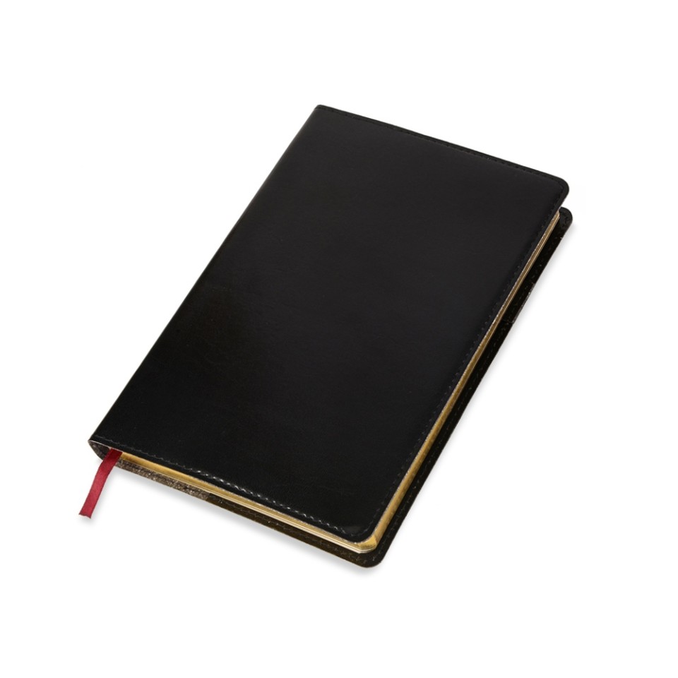 Ежедневник полудатированный портфолио А5  "PROFY" черный