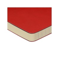 Ежедневник недатированный B5 "Megapolis Flex" (красный)
