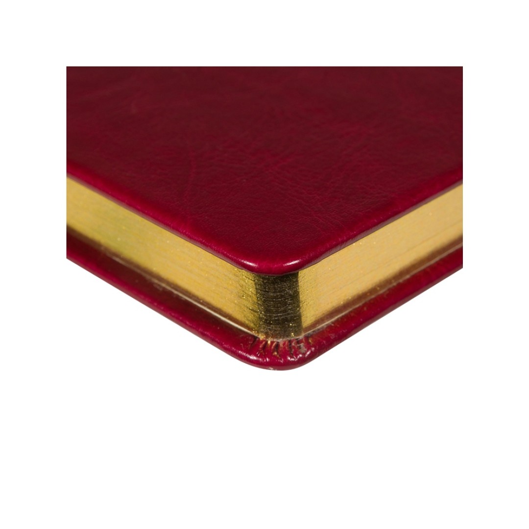 Ежедневник недатированный А5 "Megapolis Nebraska", бордовый с золотым обрезом