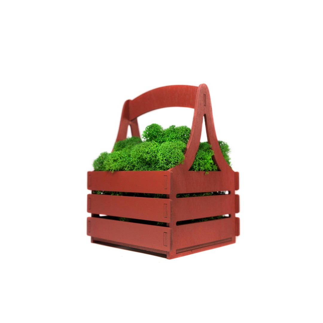 Композиция "Корзинка со мхом", темно-красный