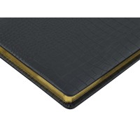 Ежедневник недатированный А5 "Amazonia", черный с золотым обрезом