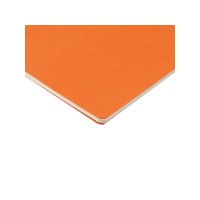 Бизнес-тетрадь А4 "Pragmatic",  40л., клетка, оранжевый