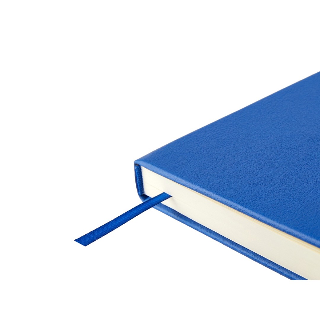 Ежедневник недатированный А5 "Status", синий