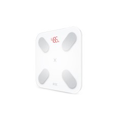 Умные диагностические весы Picooc Mini Pro V2 (6924917717377), белый