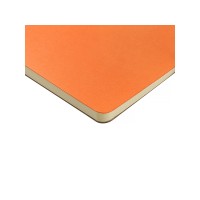 Бизнес тетрадь на гребне А5 "Pragmatic", 60 листов в клетку, оранжевый