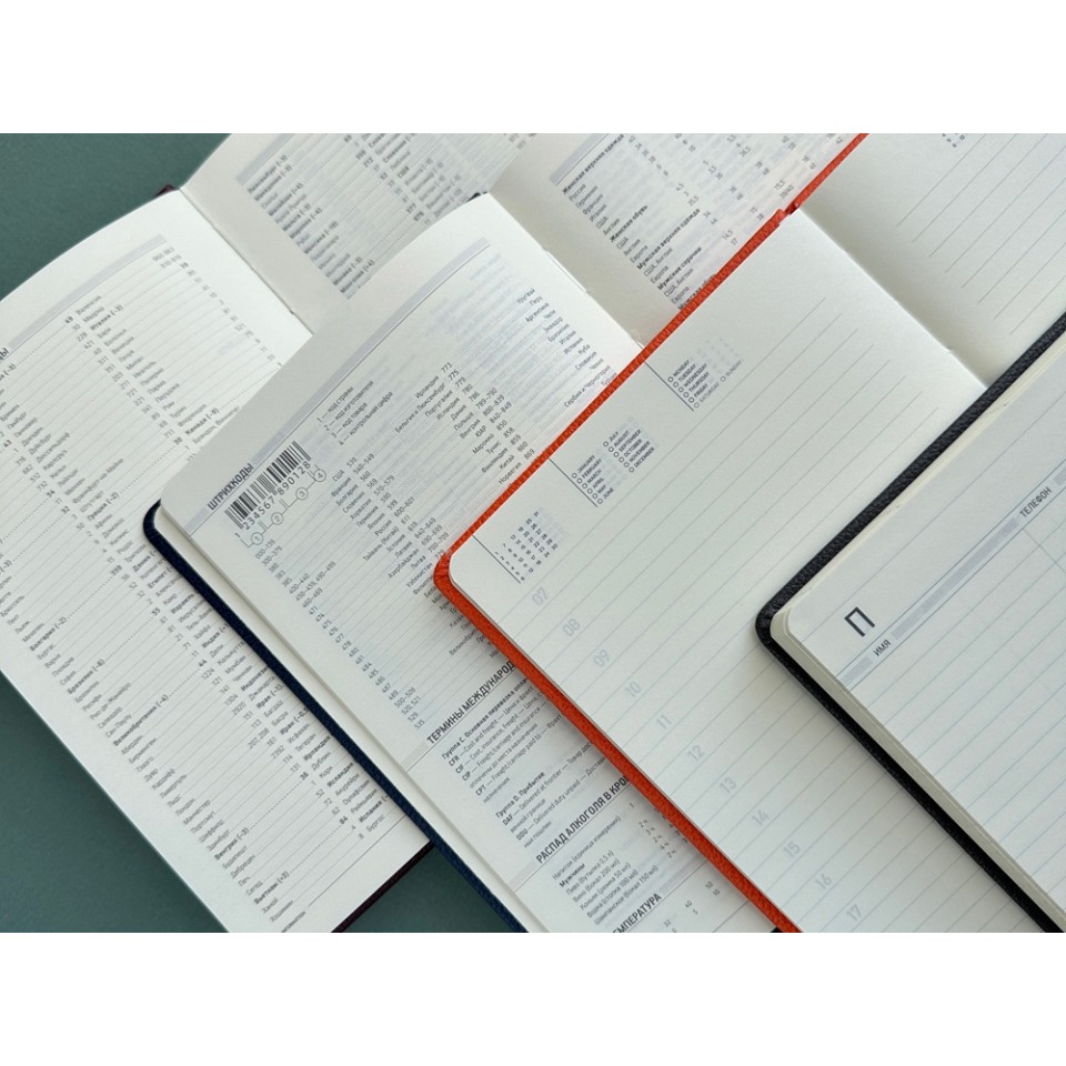 Ежедневник недатированный А5 "Loft", темно-синий