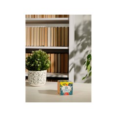 Набор для выращивания "Экокуб Magicme "Ель Голубая"