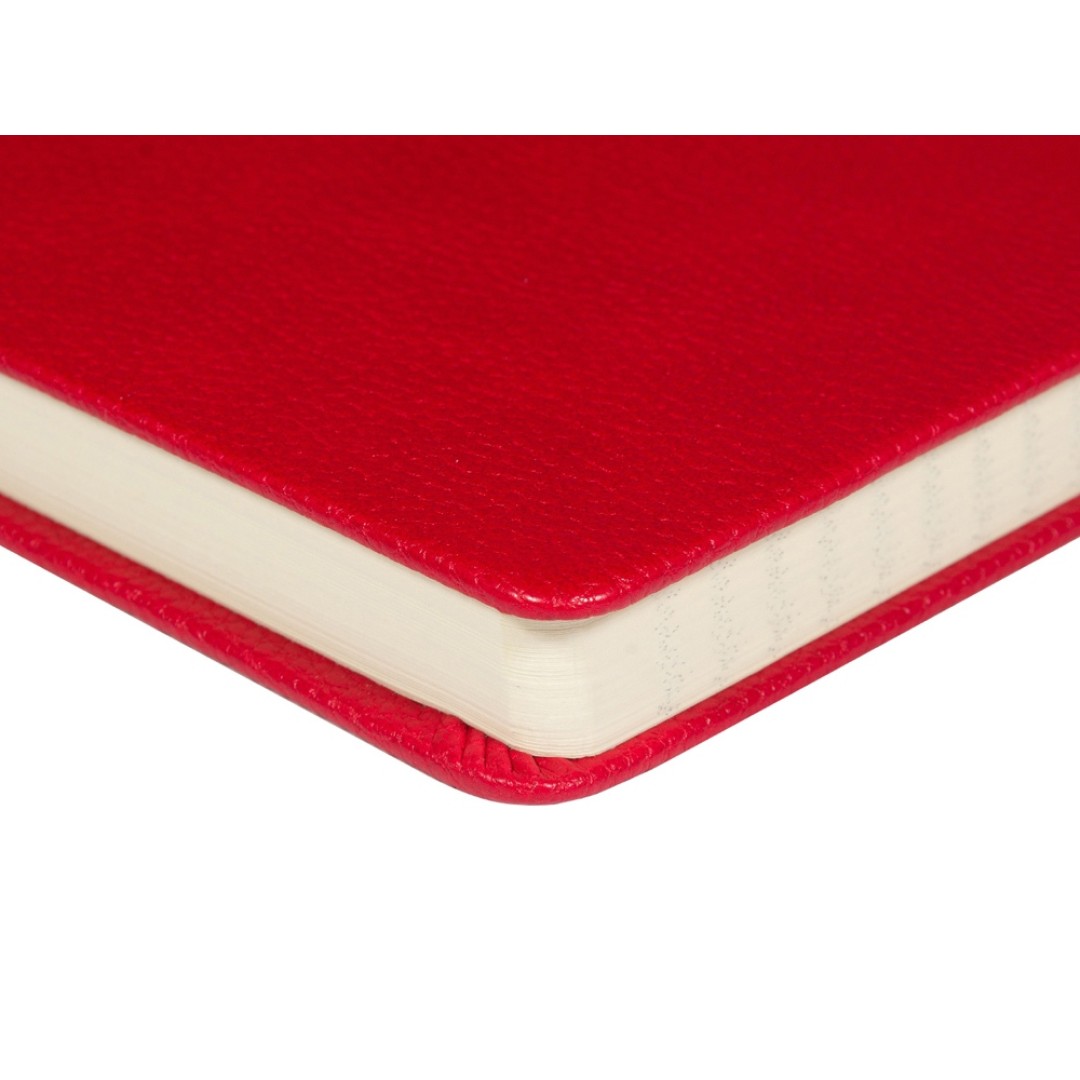 Ежедневник А5 датированный "Megapolis Loft" на 2026, красный