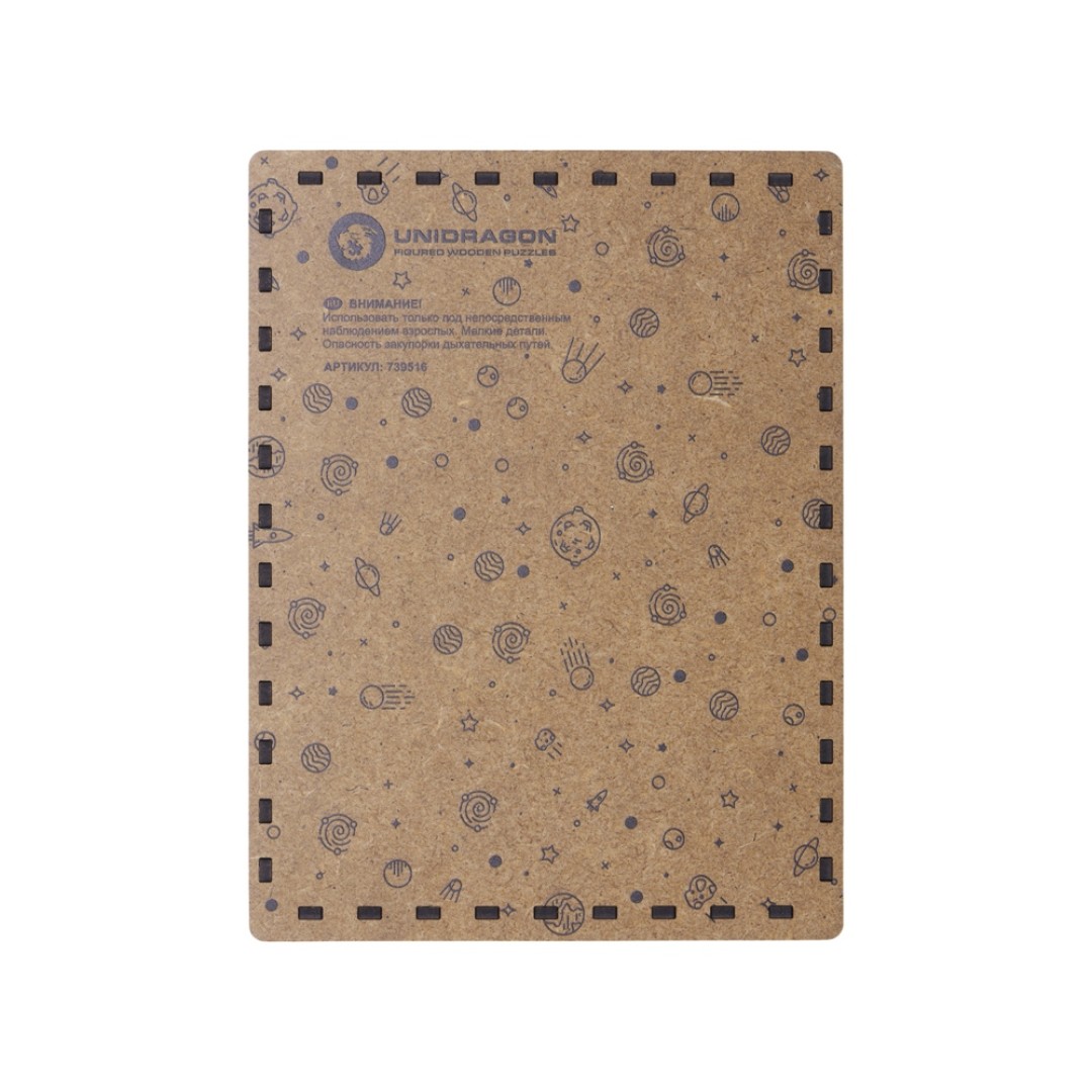 Деревянный пазл "Earth"