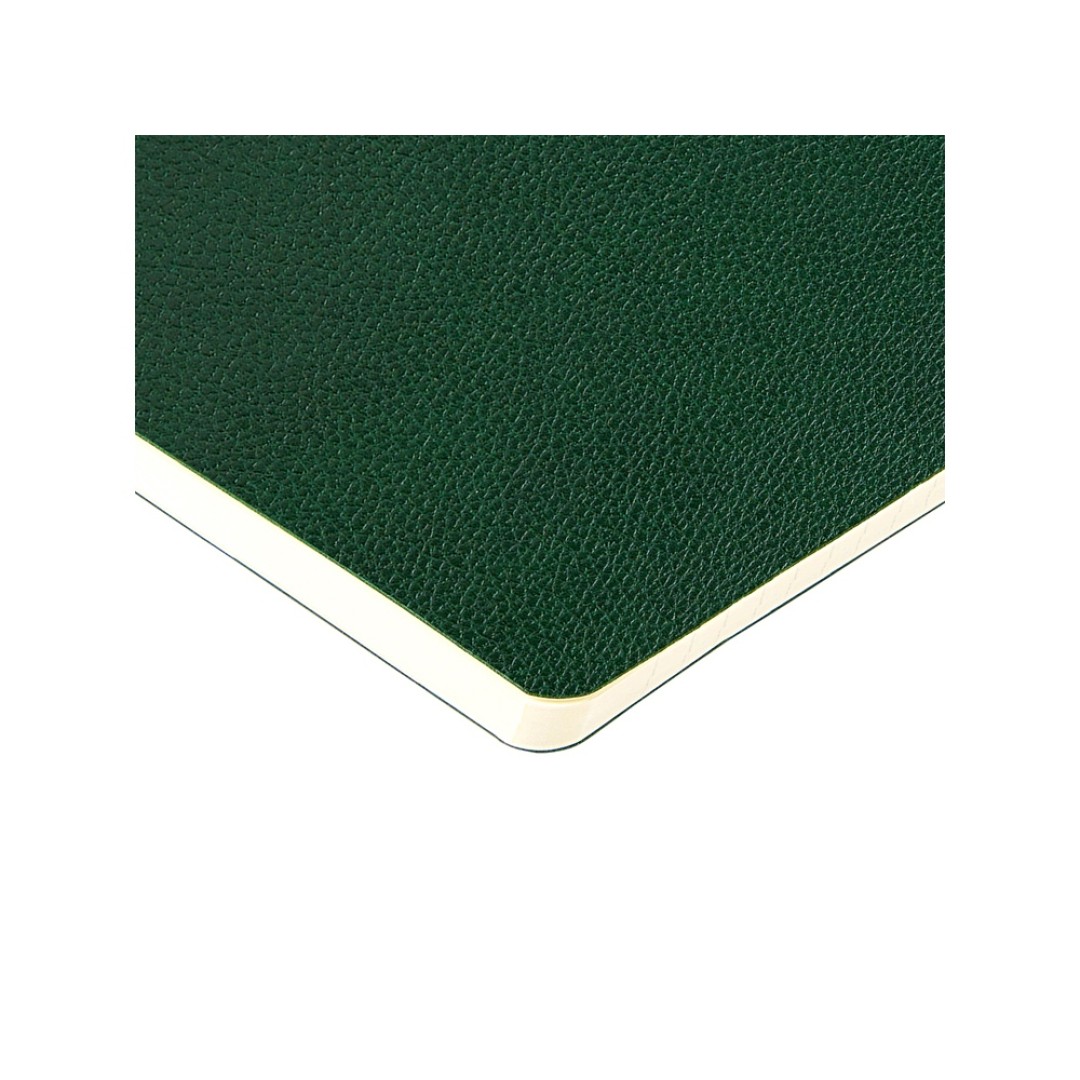 Бизнес-тетрадь А5 "Megapolis Loft Flex" 60 л., линейка, зеленый