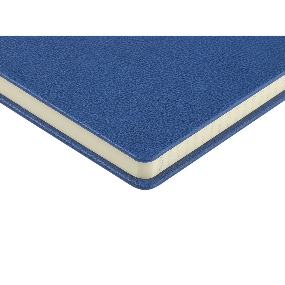 Ежедневник А5 датированный "Megapolis Loft" на 2026, синий