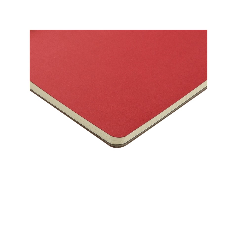 Бизнес тетрадь на гребне А5 "Pragmatic", 60 листов в клетку, красный