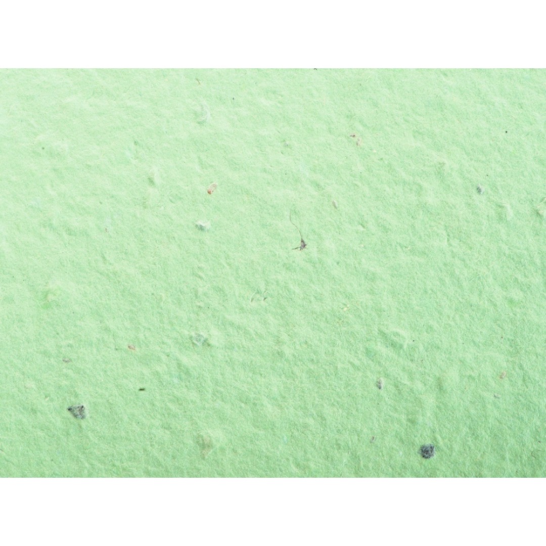 Живой блокнот с семенами цветов, А6, зеленое яблоко