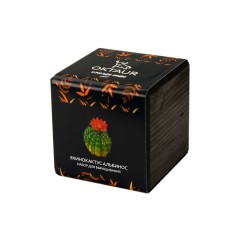Набор для выращивания "Small village cube "Эхинокактус Альбинос"