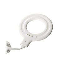 Блендер пластиковый "Smoothie" (Р)