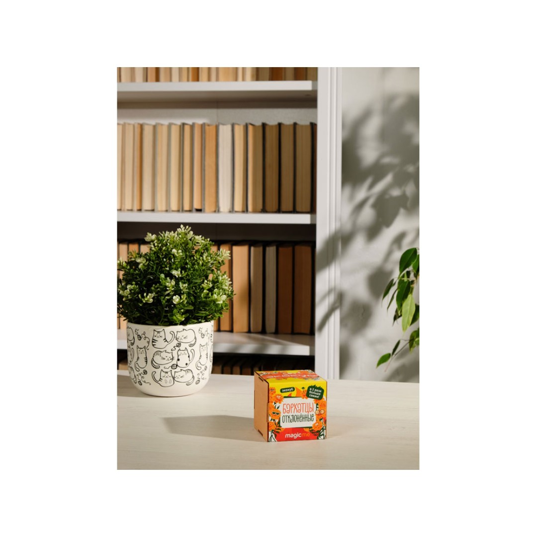 Набор для выращивания "Экокуб Magicme "Бархатцы"