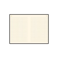 Ежедневник недатированный А5 «Metropol», черный