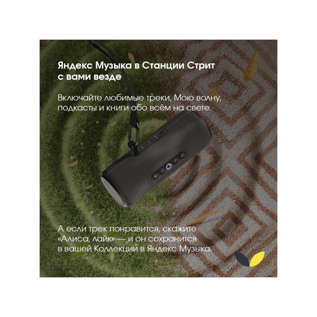 Умная портативная колонка Яндекс Станция Стрит с Алисой, черный (YNDX-00030BLK)