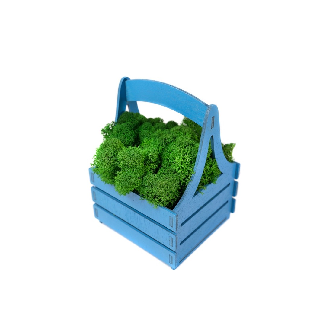 Композиция "Корзинка со мхом", синий