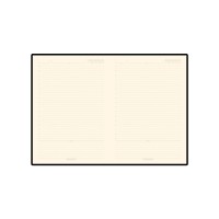 Ежедневник В5 недатированный «Leggenda», черный