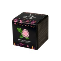 Набор для выращивания "Small village cube "Мимоза стыдливая"