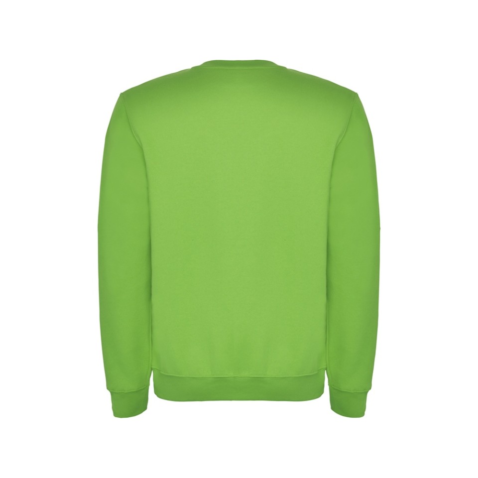 Свитшот с начесом "Clasica" детский, зеленое яблоко