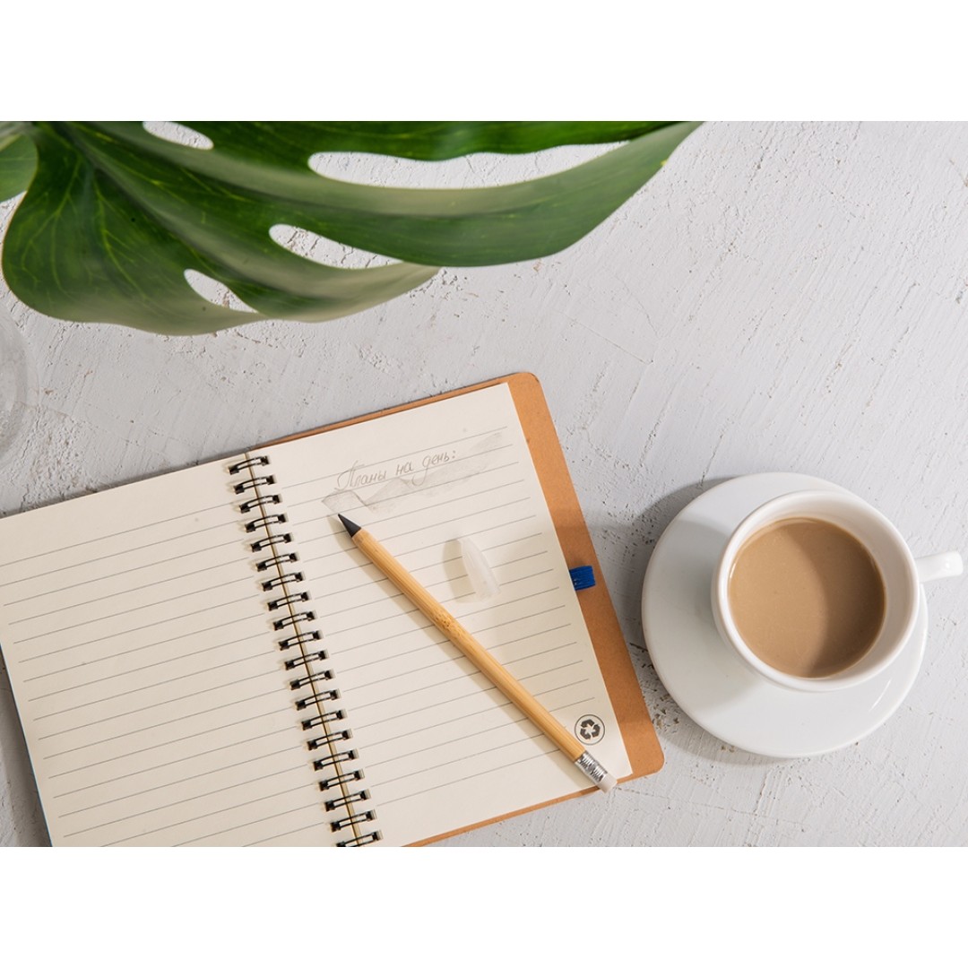 Вечный карандаш "Nature" из бамбука с белым ластиком