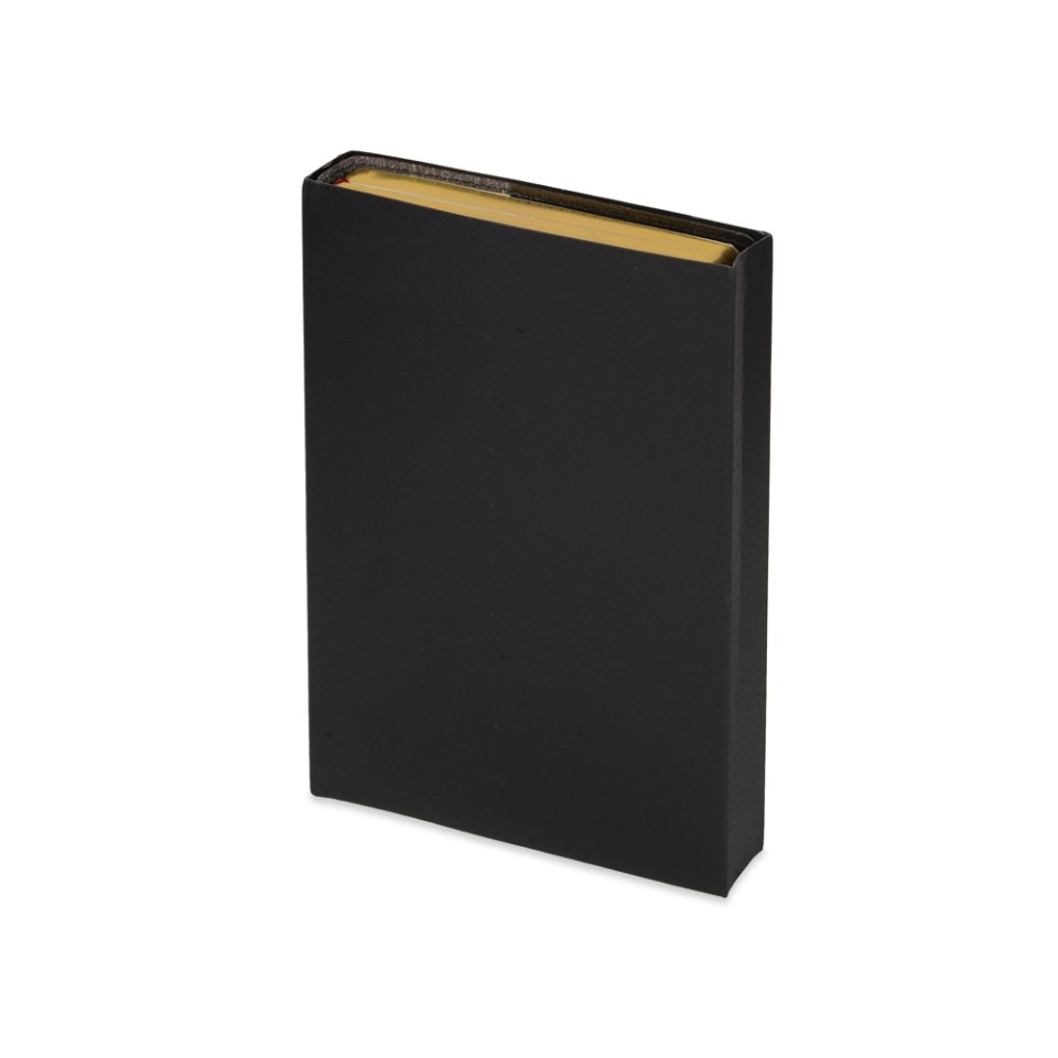 Ежедневник полудатированный портфолио А5  "PROFY" черный