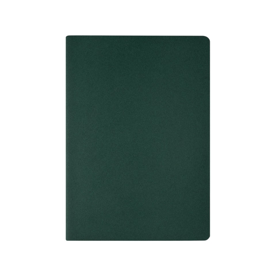 Бизнес тетрадь А5 "Pragmatic", 40 листов в клетку, зеленый