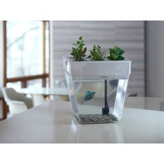 Набор для выращивания растений и ухода за рыбкой "Акваферма"