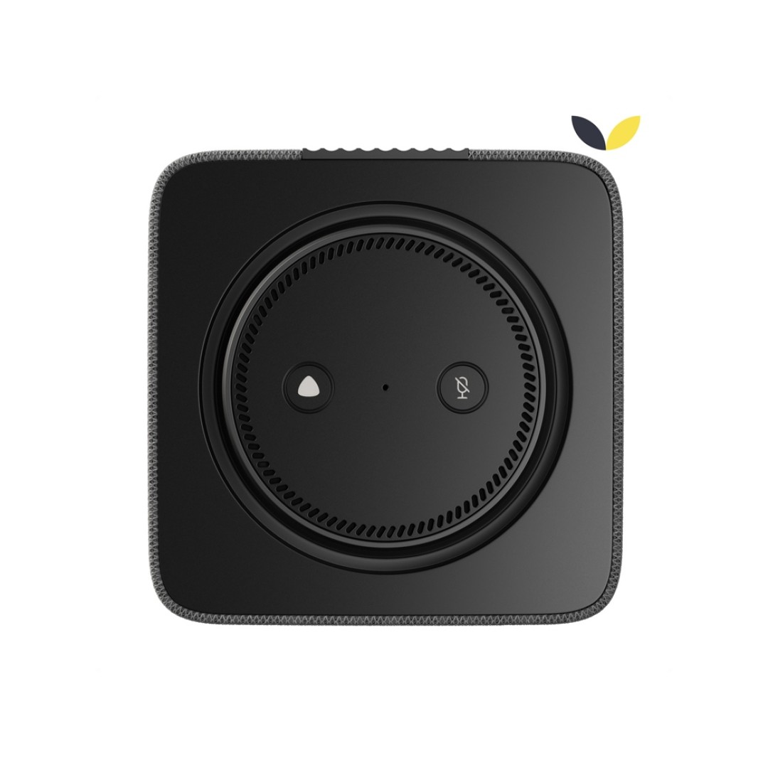 Умная колонка ЯНДЕКС Станция Макс с Алисой, с Zigbee, 65 Вт, цвет: графит (YNDX-00053K)