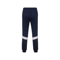 Брюки спортивные «Rodas» мужские, синий нэйви
