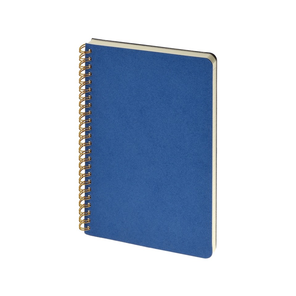 Бизнес тетрадь на гребне А5 "Pragmatic", 60 листов в клетку, синий