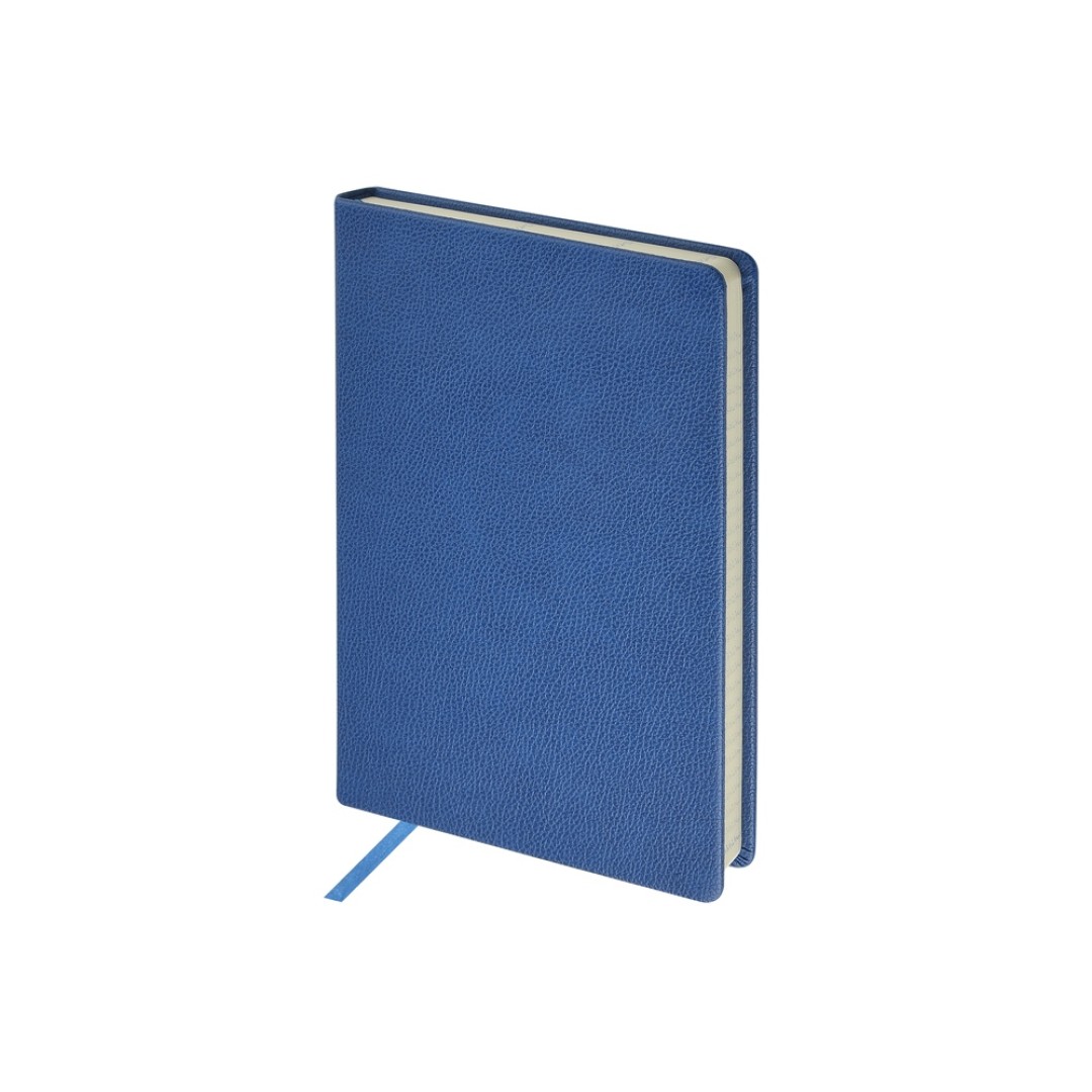 Ежедневник недатированный А5 "Megapolis Loft", синий