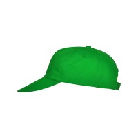 Бейсболка "Basica", папоротниковый