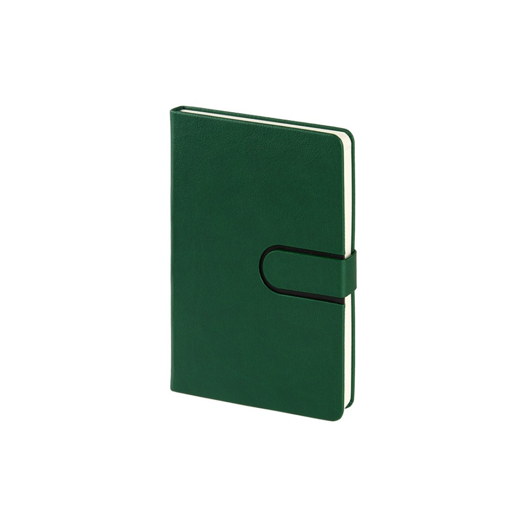 Ежедневник недатированный А5 "Status", зеленый