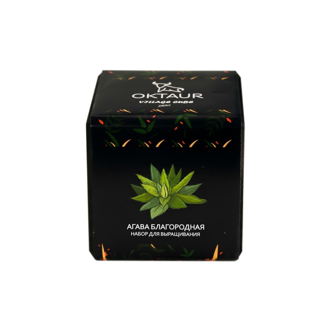 Набор для выращивания "Small village cube "Агава Благородная"