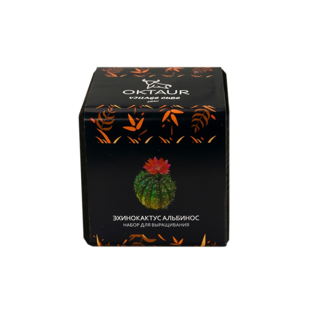 Набор для выращивания "Small village cube "Эхинокактус Альбинос"