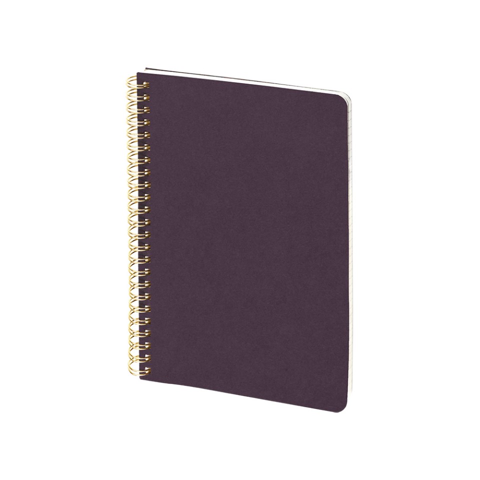 Бизнес тетрадь на гребне А5 "Pragmatic", 60 листов в клетку, фиолетовый
