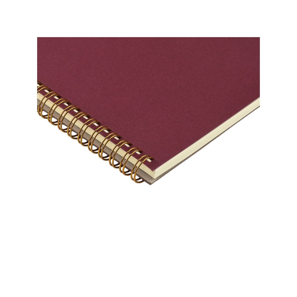 Бизнес тетрадь на гребне А5 "Pragmatic", 60 листов в клетку, бордовый