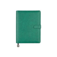 Ежедневник недатированный B5 "Toscana", зеленый